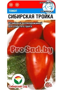 Томат Сибирская тройка
