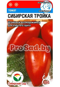 Томат Сибирская тройка
