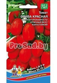 Томат Слива красная