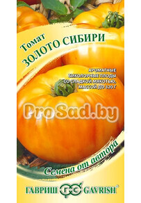 Томат Золото Сибири