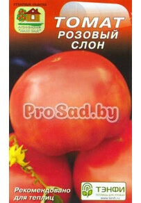 Томат Розовый слон