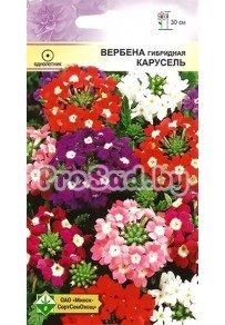 Вербена гибридная Карусель, смесь