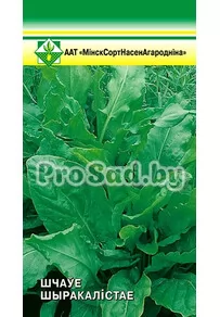 Щавель Широколистный