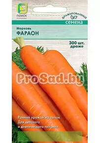 Морковь Фараон