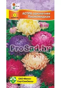 Астра Пионовидная, смесь