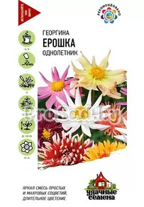 Георгина Ерошка, смесь