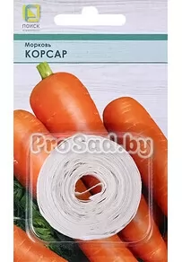 Морковь Корсар