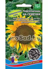 Подсолнечник На семечки