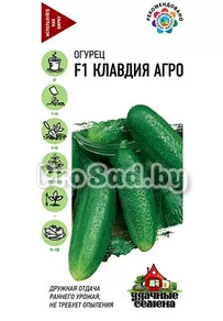 Огурец F1 Клавдия Агро