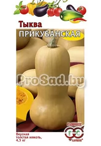 Тыква Прикубанская