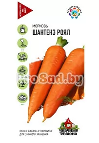 Морковь Шантенэ Роял