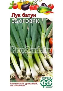 Лук батун Здоровяк