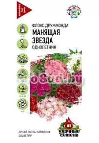Флокс друммонда Манящая звезда, смесь