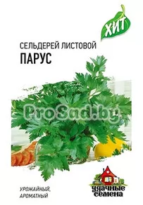 Сельдерей листовой Парус