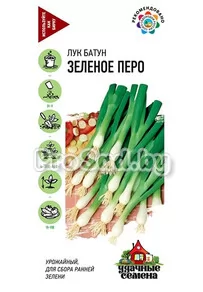 Лук на зелень Зелёное перо