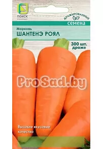 Морковь Шантенэ роял (драже)