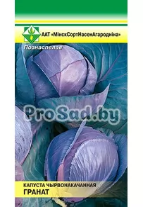 Капуста краснокочанная Гранат