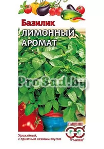 Базилик Лимонный аромат
