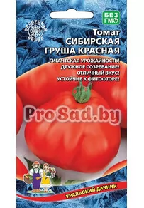Томат Сибирская груша Красная