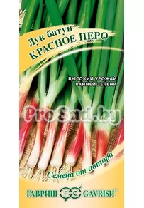 Лук на зелень Красное перо