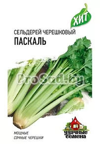Сельдерей черешковый Паскаль