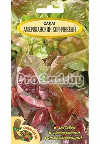 Салат листовой Американский коричневый