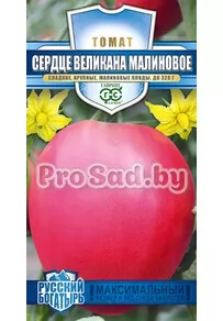 Томат Сердце великана Малиновое