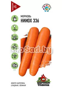 Морковь НИИОХ 336