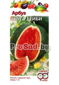 Арбуз Шуга бейби