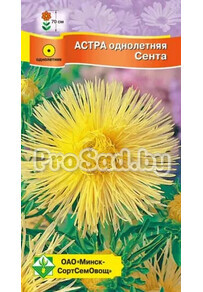 Астра Харц Сента