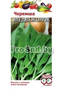 Черемша Медвежонок