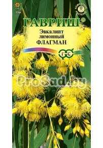 Эвкалипт лимонный Флагман