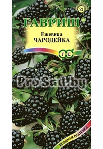 Ежевика Чародейка