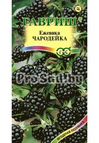 Ежевика Чародейка