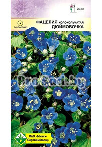 Фацелия колокольчатая Дюймовочка