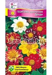 Георгина Денди, смесь