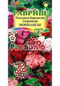 Гвоздика турецкая Монпансье, смесь
