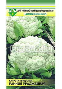 Капуста цветная Ранняя урожайная