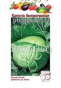 Капуста белокочанная Зимовка 1474