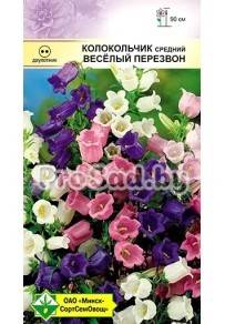 Колокольчик средний Веселый перезвон