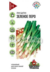 Лук на зелень Зелёное перо