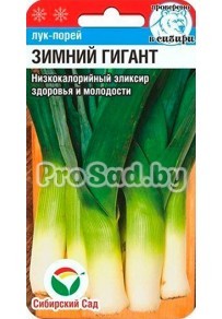 Лук-порей Зимний гигант