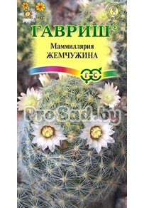 Маммиллярия Жемчужина