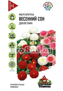Маргаритка Весенний сон, смесь
