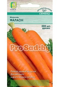 Морковь Фараон