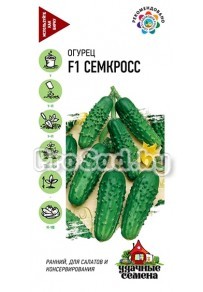 Огурец F1 Семкросс