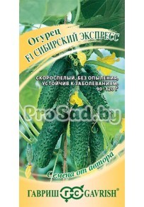 Огурец F1 Сибирский Экспресс