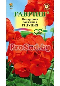 Пеларгония зональная F1 Луция