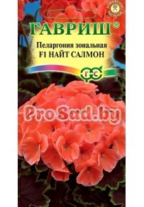 Пеларгония зональная F1 Найт салмон