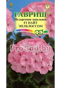 Пеларгония F1 Найт Эпплблоссом